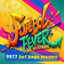 9977 bet paga mesmo